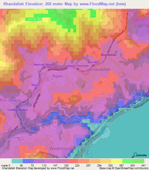 Khandallah,New Zealand Elevation Map