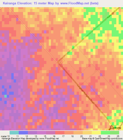 Kairanga,New Zealand Elevation Map