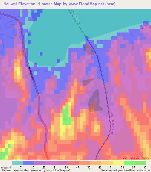 Hauwai,New Zealand Elevation Map