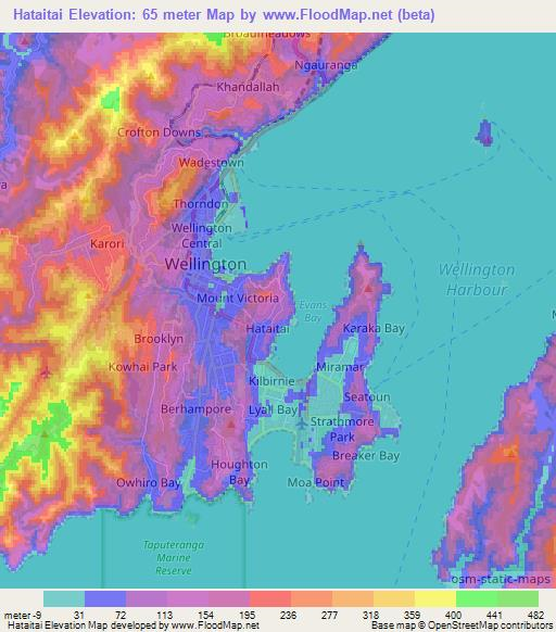 Hataitai,New Zealand Elevation Map