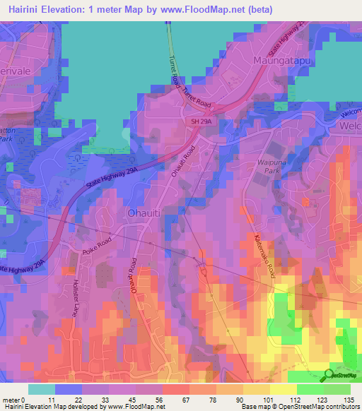 Hairini,New Zealand Elevation Map