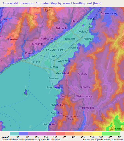 Gracefield,New Zealand Elevation Map