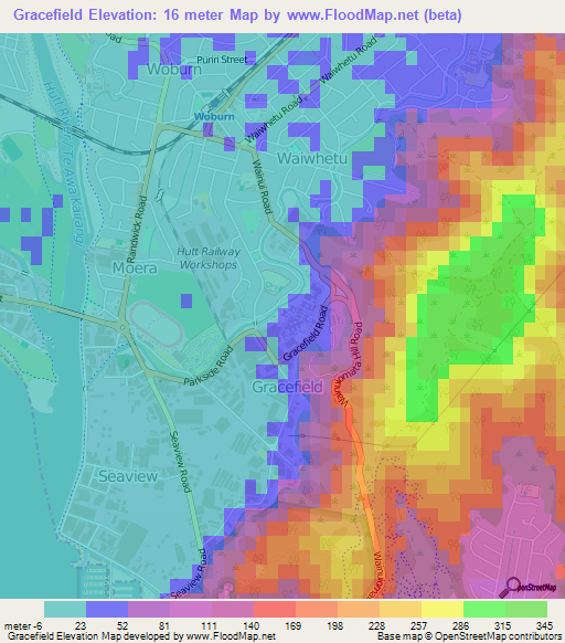 Gracefield,New Zealand Elevation Map