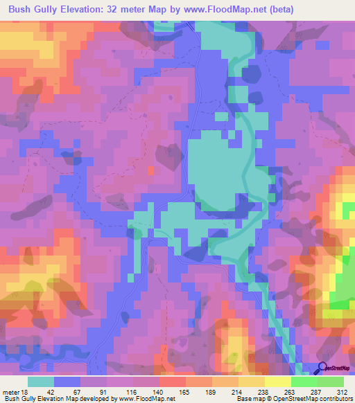 Bush Gully,New Zealand Elevation Map