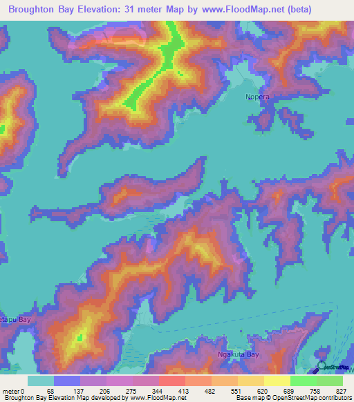 Broughton Bay,New Zealand Elevation Map