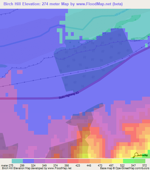 Birch Hill,New Zealand Elevation Map