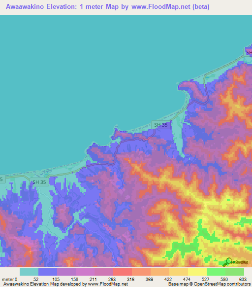 Awaawakino,New Zealand Elevation Map