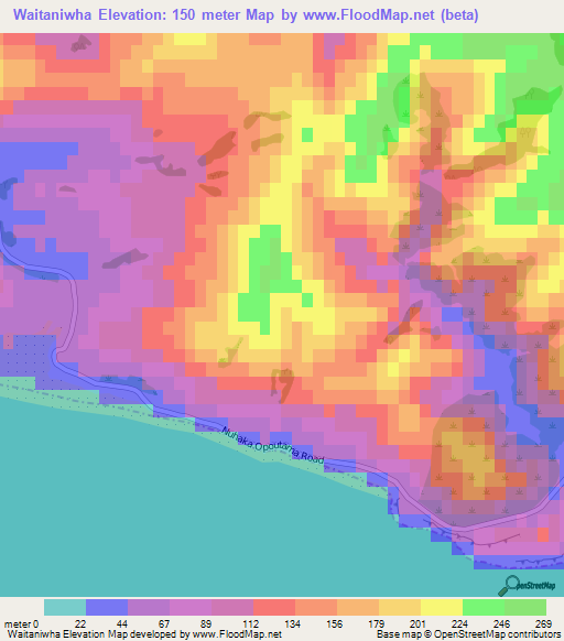 Waitaniwha,New Zealand Elevation Map