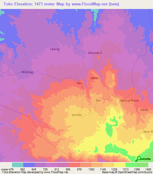 Toko,Cameroon Elevation Map