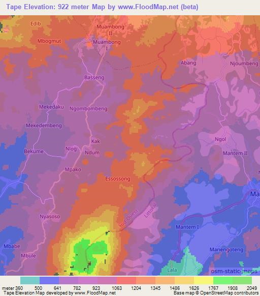 Tape,Cameroon Elevation Map