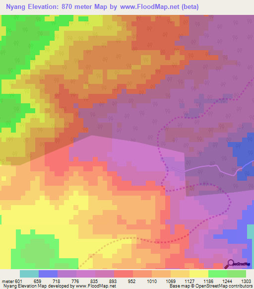 Nyang,Cameroon Elevation Map