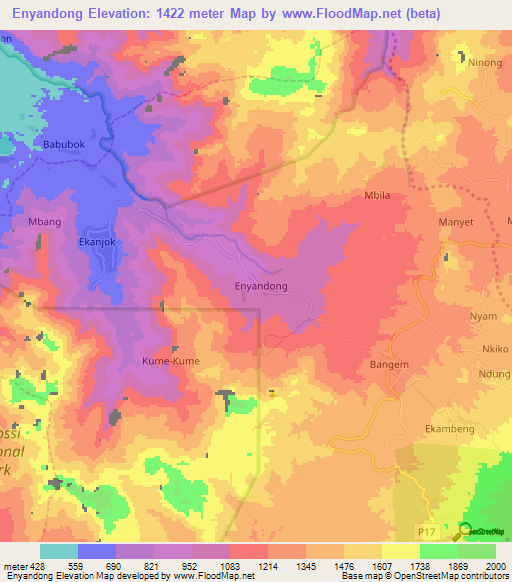 Enyandong,Cameroon Elevation Map