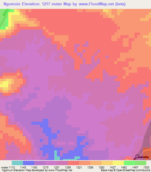 Ngomuin,Cameroon Elevation Map