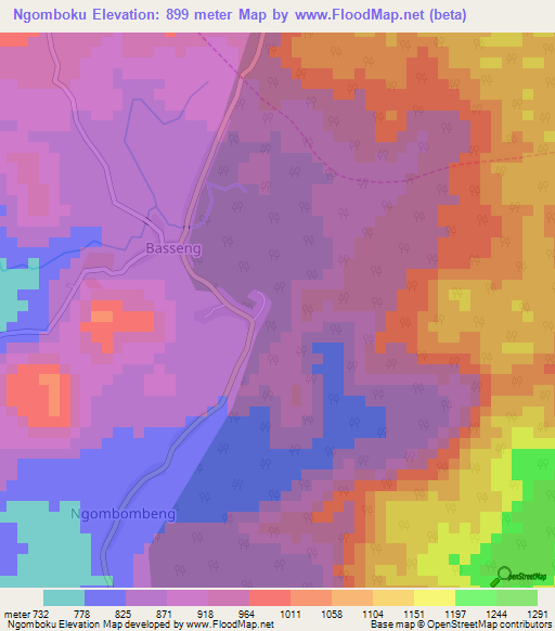 Ngomboku,Cameroon Elevation Map
