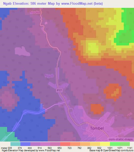 Ngab,Cameroon Elevation Map