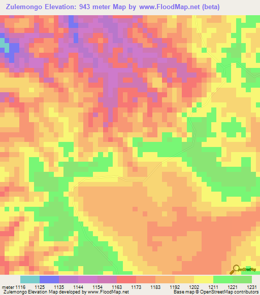 Zulemongo,Angola Elevation Map