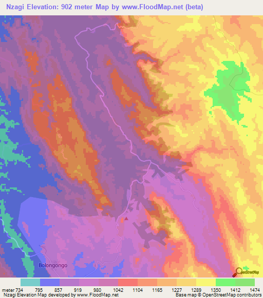 Nzagi,Angola Elevation Map