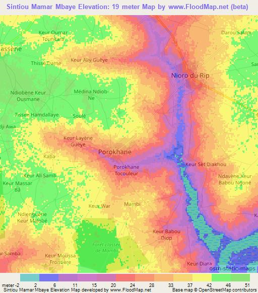 Sintiou Mamar Mbaye,Senegal Elevation Map