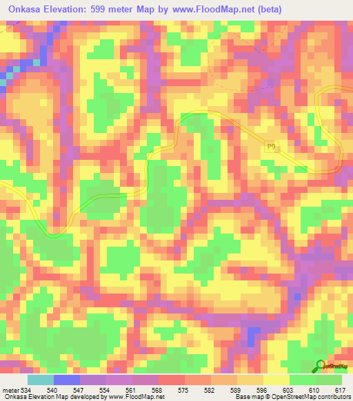 Onkasa,Congo (Brazzaville) Elevation Map