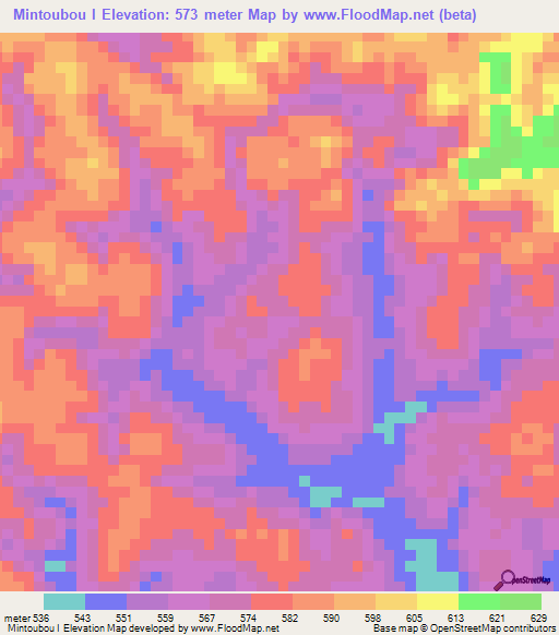 Mintoubou I,Congo (Brazzaville) Elevation Map