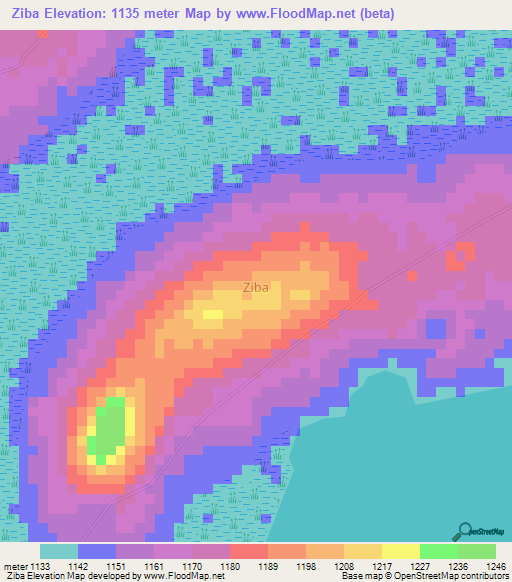 Ziba,Uganda Elevation Map