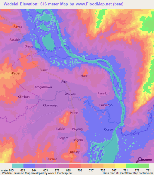 Wadelai,Uganda Elevation Map