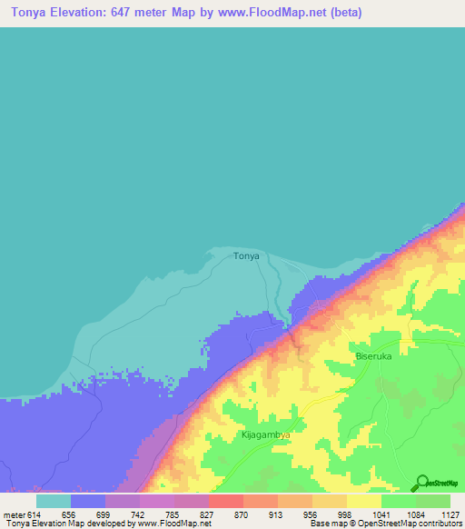 Tonya,Uganda Elevation Map