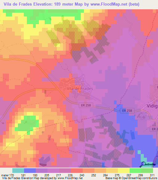 Vila de Frades,Portugal Elevation Map