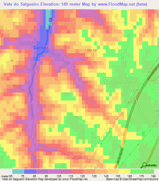 Vale do Salgueiro,Portugal Elevation Map
