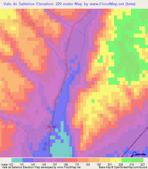 Vale de Salteiros,Portugal Elevation Map