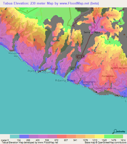 Tabua,Portugal Elevation Map