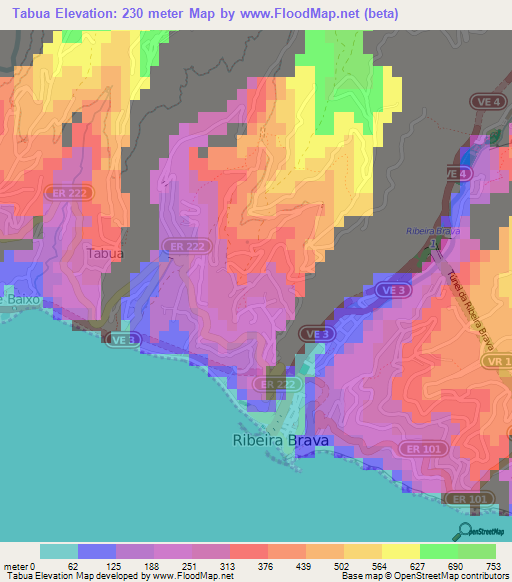 Tabua,Portugal Elevation Map