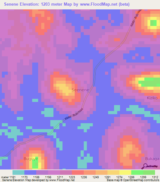 Senene,Uganda Elevation Map
