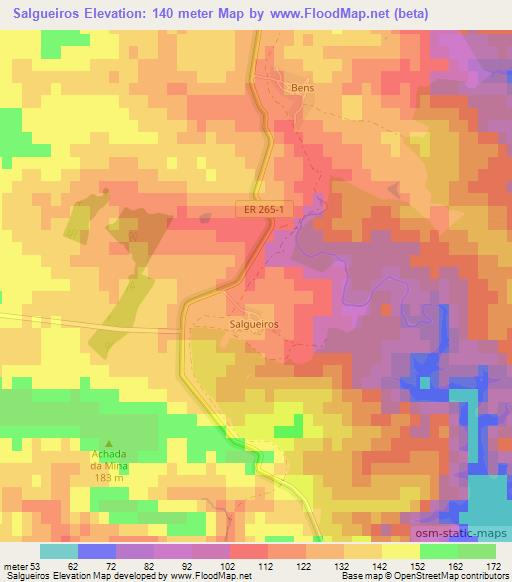 Salgueiros,Portugal Elevation Map