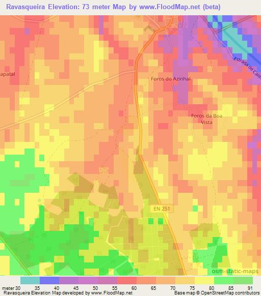 Ravasqueira,Portugal Elevation Map
