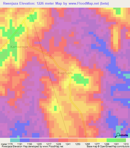 Rwenjaza,Uganda Elevation Map