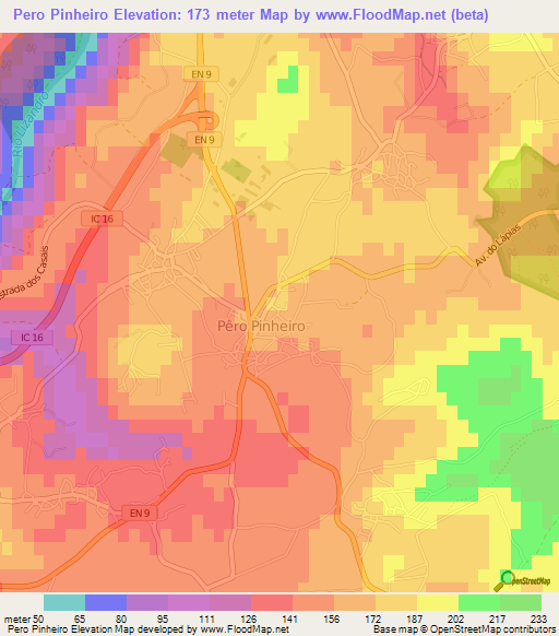 Pero Pinheiro,Portugal Elevation Map
