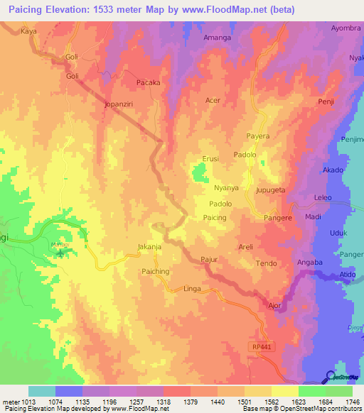 Paicing,Uganda Elevation Map