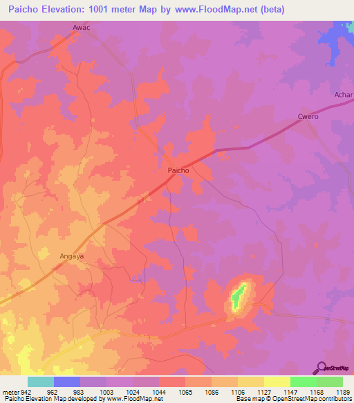 Paicho,Uganda Elevation Map