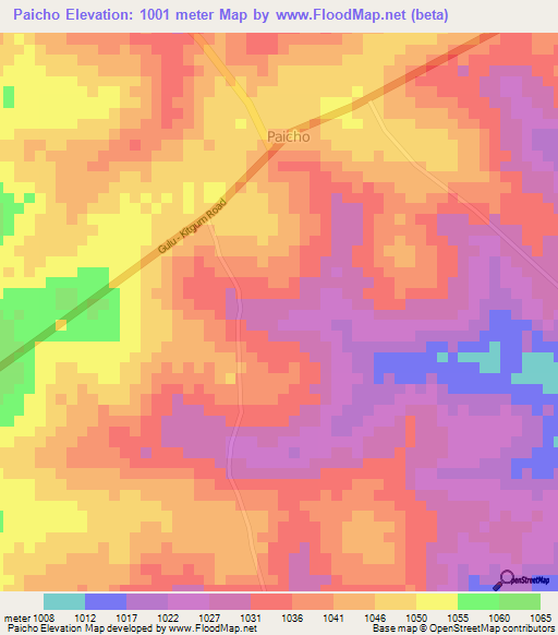 Paicho,Uganda Elevation Map