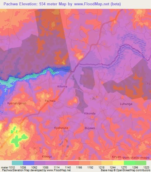 Pachwa,Uganda Elevation Map