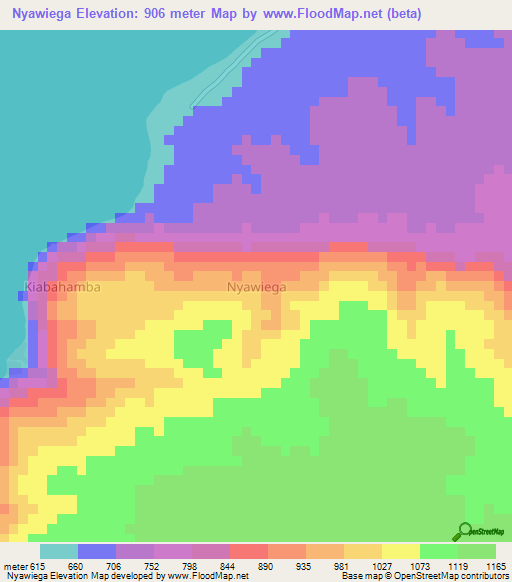 Nyawiega,Uganda Elevation Map