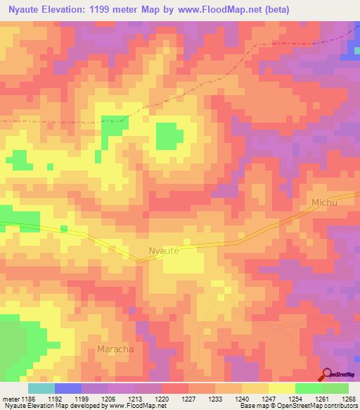 Nyaute,Uganda Elevation Map