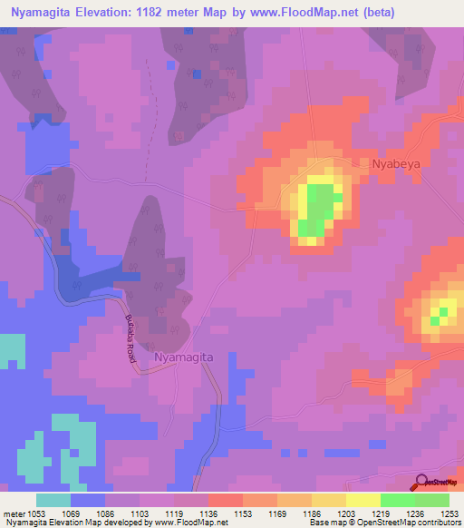 Nyamagita,Uganda Elevation Map