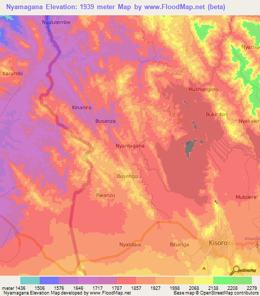 Nyamagana,Uganda Elevation Map