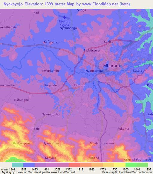 Nyakayojo,Uganda Elevation Map