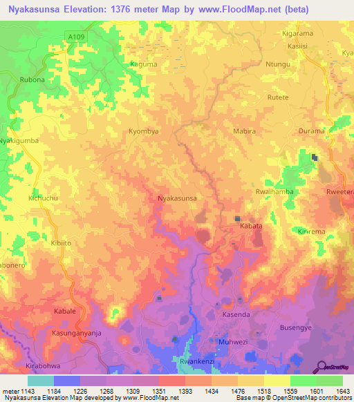 Nyakasunsa,Uganda Elevation Map