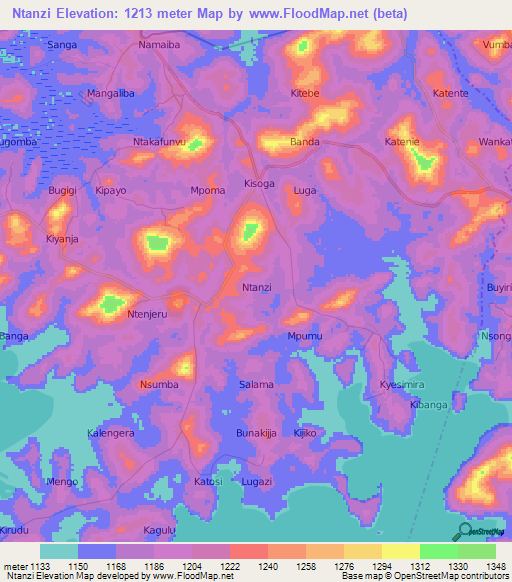 Ntanzi,Uganda Elevation Map