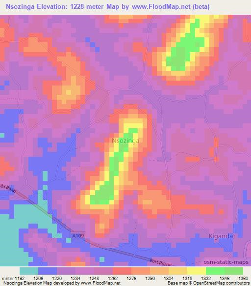 Nsozinga,Uganda Elevation Map