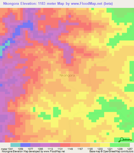 Nkongora,Uganda Elevation Map